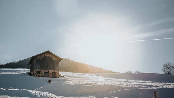 Gli articoli sul Presulis Hideaway Apartments & Restaurant Casa di legno su campo innevato in una giornata invernale di sole