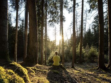 Seiser Alm Balance: active & healthy throughout spring Person sitting in mossy forest watching the setting sun