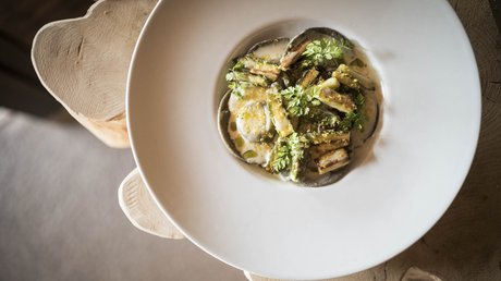 Immagini che emozionano: appartamenti Presulis a Fiè Piatto gourmet con verdure verdi e erbe aromatiche su piatto bianco