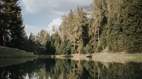 Heartfelt snapshots: the Presulis apartments in Völs Forest with trees and clouds reflected in calm lake