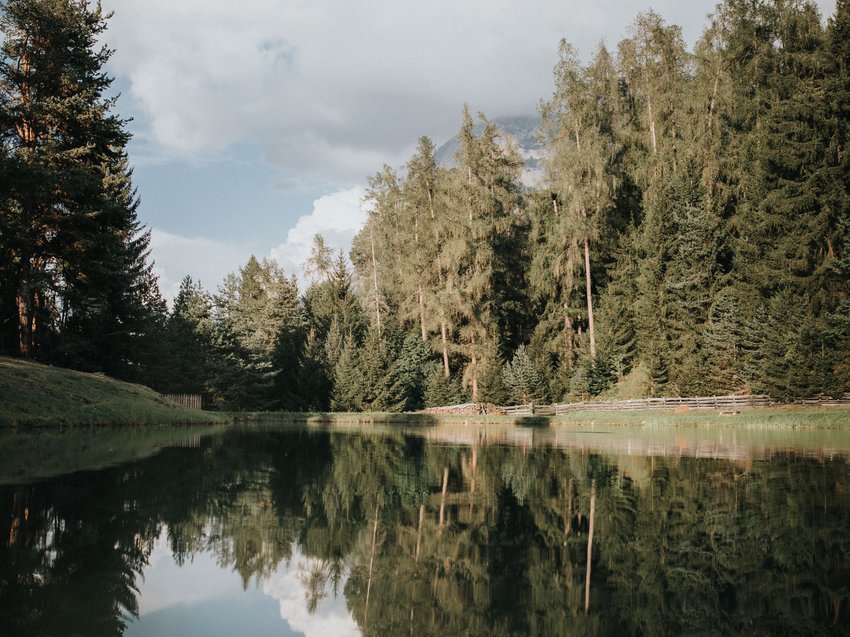 Presulis: Ihre Luxus-Ferienwohnung in Völs am Schlern Wald mit Bäumen und Wolken spiegeln sich in ruhigem See