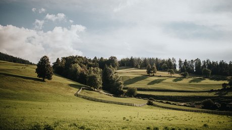 Heartfelt snapshots: the Presulis apartments in Völs Green rolling hills with trees and fenced fields under a cloudy sky