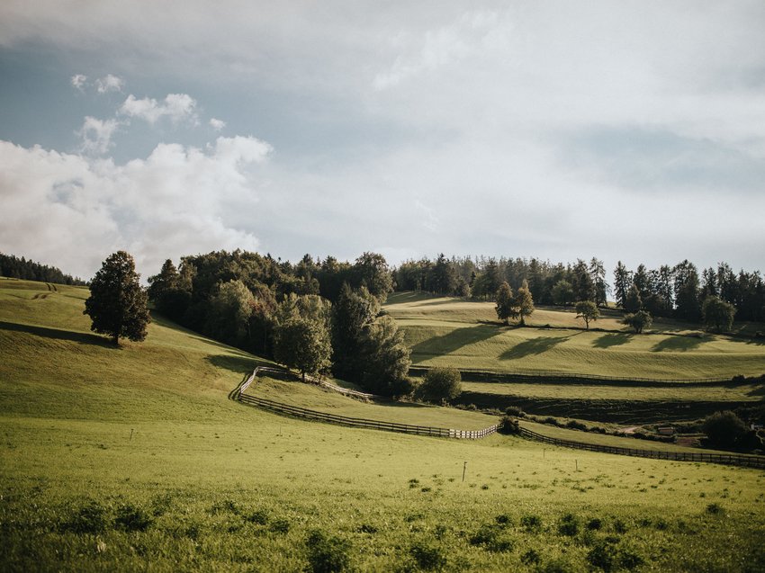Presulis Slow hideaway: Wanderurlaub in den Dolomiten Grüne hügelige Landschaft mit Bäumen und eingezäunten Wiesen unter bewölktem Himmel