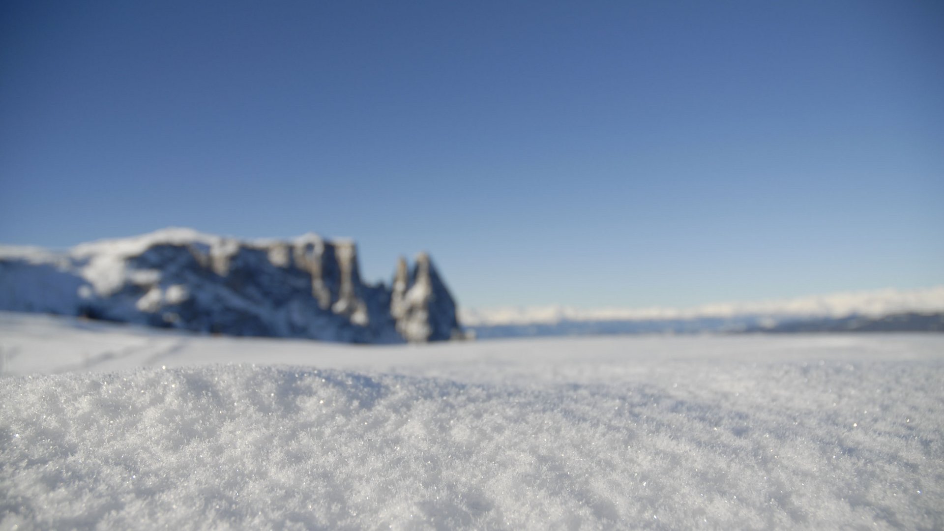 The Presulis: discover and experience South Tyrol Close-up of sparkling snow with mountains blurred in the background