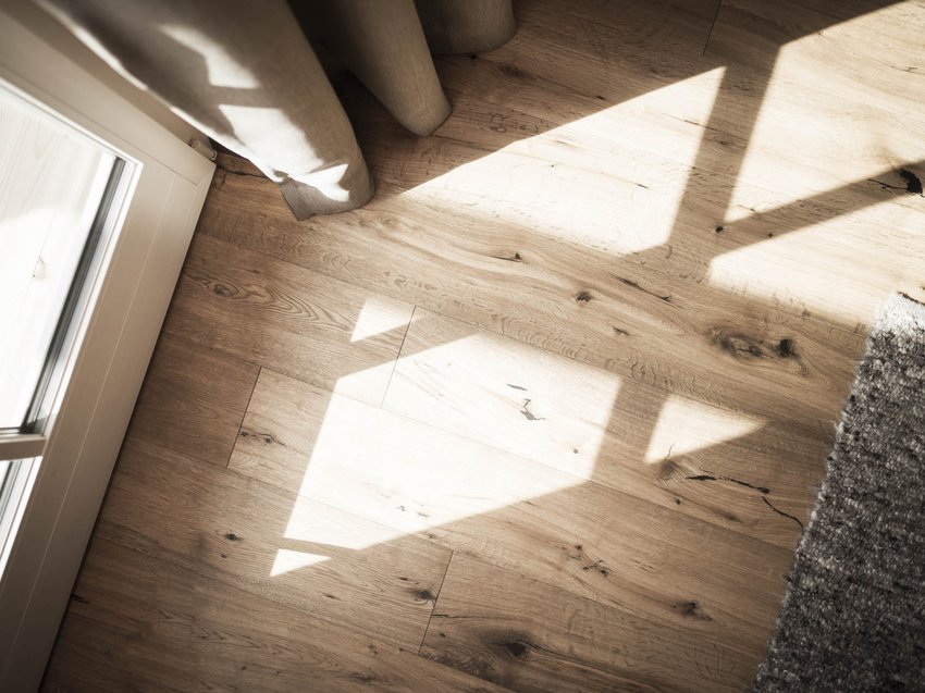 Nachhaltigkeit Sonnenlicht wirft Fensterrahmenschatten auf Holzboden mit Teppich und Gardine