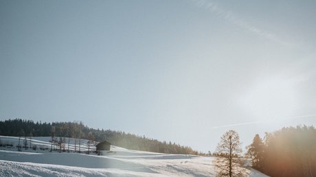 Immagini che emozionano: appartamenti Presulis a Fiè Campo innevato con albero e baita sotto la luce del sole