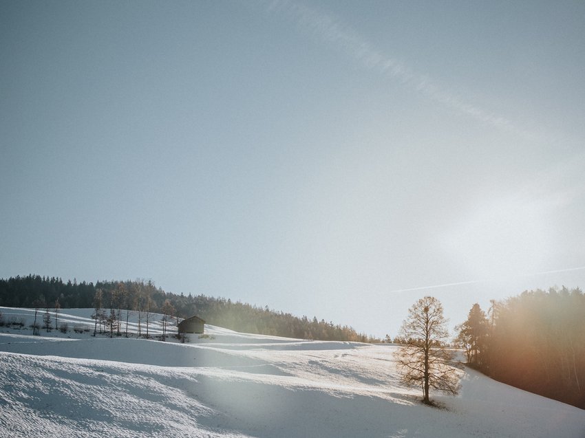 A winter holiday on the Alpe di Suisi/Seiser Alm Snow-covered field with tree and cabin under sunlight