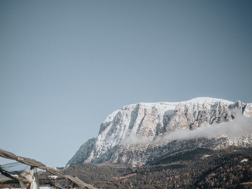 The Presulis: discover and experience South Tyrol Snow-covered vineyards beside a country road with mountain in the background