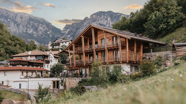 Gli articoli sul Presulis Hideaway Apartments & Restaurant Casa di legno in montagna circondata da boschi e altre case