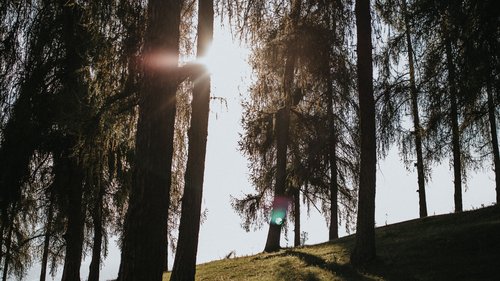 Family Classic Suite Family Classic Suite