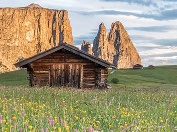 Seiser Alm Balance: active & healthy throughout spring Wooden cabin on a blooming meadow with mountains in the background