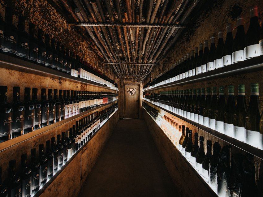 Esperienze che ispirano: gastronomia al Presulis Corridoio stretto della cantina con scaffali illuminati pieni di bottiglie di vino